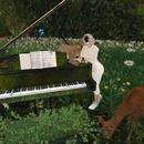 Thumb 62e4907ab1aa1760aee3363c