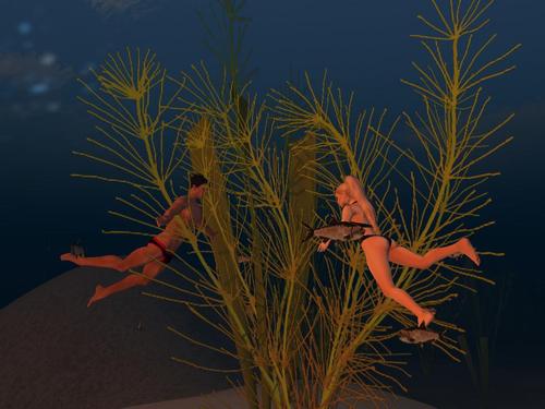 Web 59aa39dfd774f81d8e000001