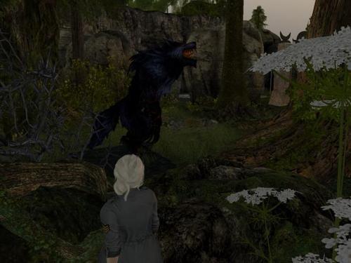 Web 6020ab286cd09542244a99f4