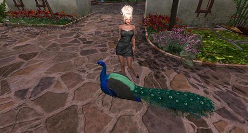 Web 59a91a22d774f873a5000001