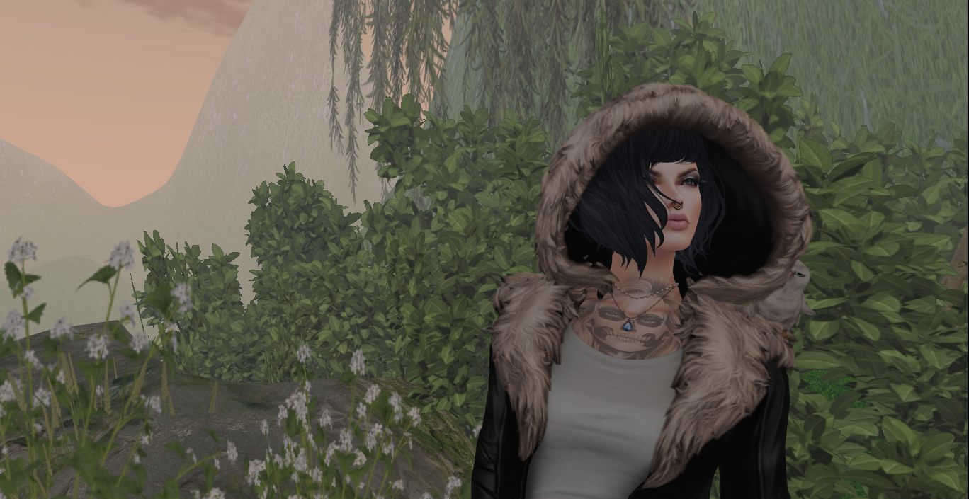 Original 551adbbc8da5724a9b000001