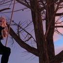 Thumb 54e9eead128cc9053f000001