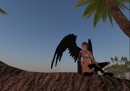 Web 5120412729d8d25486000001