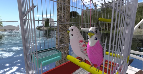 Web 55045e928da5723ff0000001