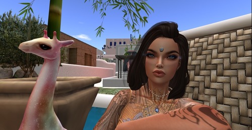 Web 550a0ab0f8a1ec22f9000001