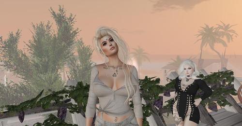 Web 59ce9f19d9859c21fe000001