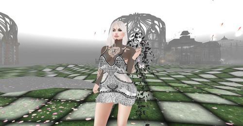 Web 5e541aec289dd203501a19e9