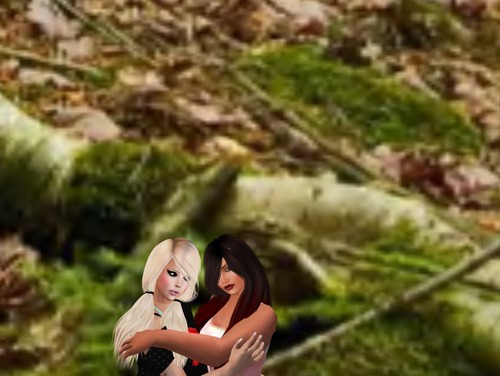 Web 5174790a5e64aa1a6b000001