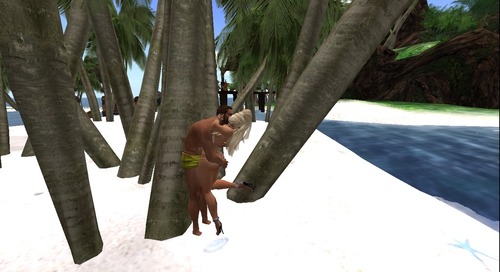 Web 51378e6bb77f865fbe000001