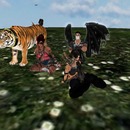 Thumb 5375934b128cc90bd2000001