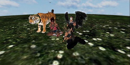 Web 5375934b128cc90bd2000001