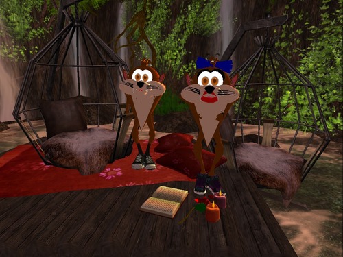 Web 537fcccea73e213165000001