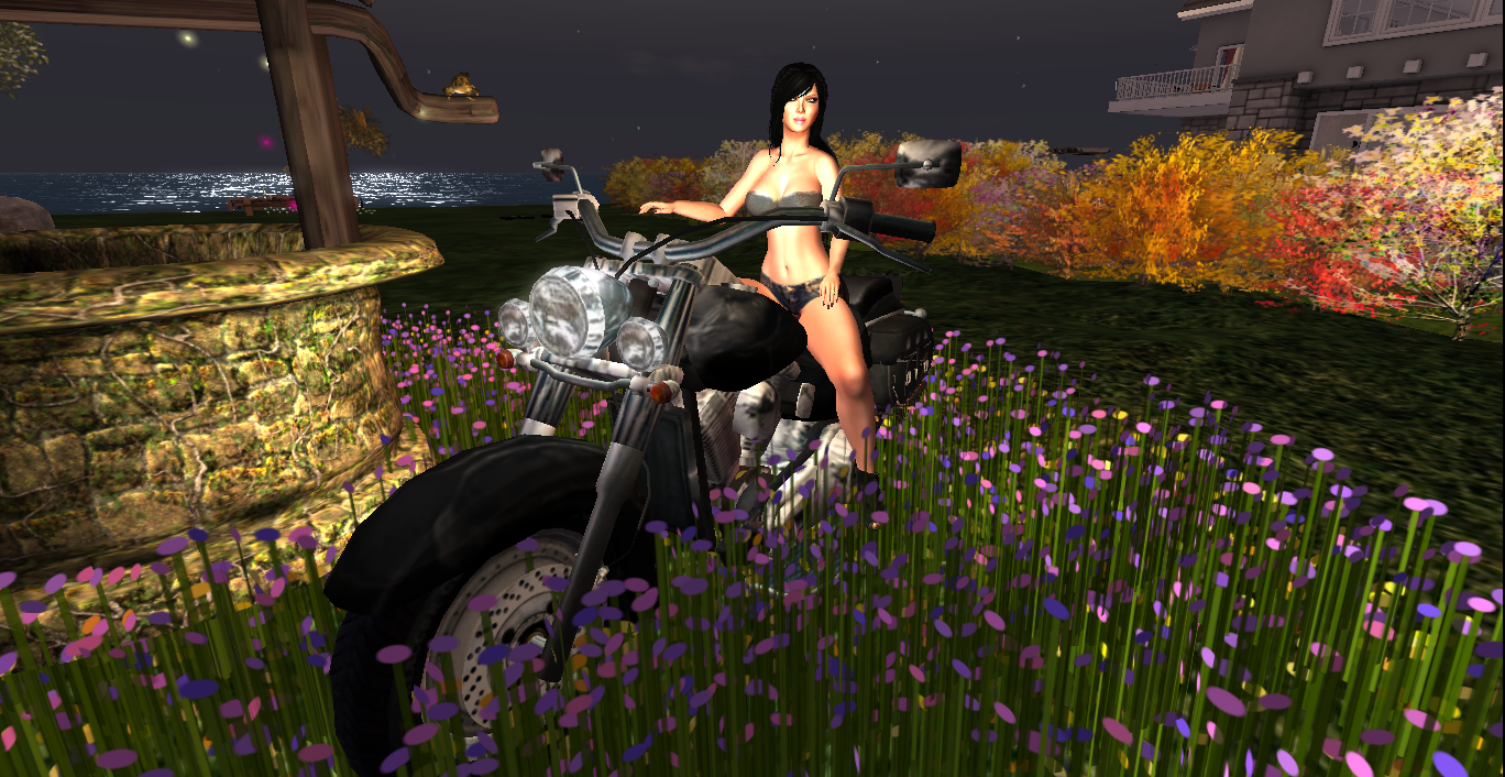 Original 5579af068da5724179000001