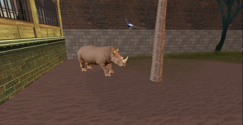 Web 54237864128cc91fd0000001