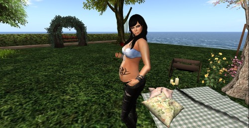 Web 55553b3ca73e212c99000001