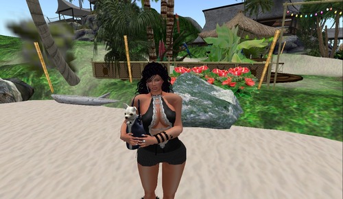 Web 513defb6fc40895e60000001