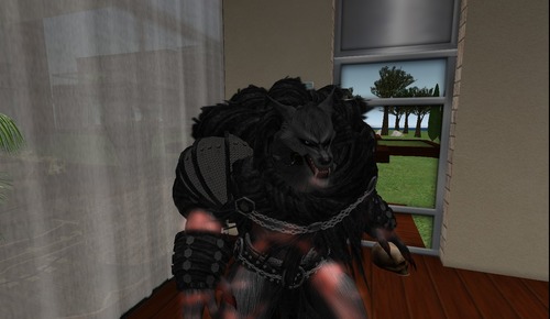 Web 516ce014295dcc4d2b000001