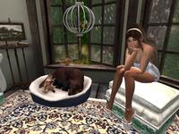 Small 5d7b9363289dd2352f000001