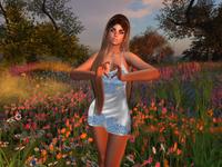 Small 5d7b985dd774f826e1000001