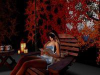 Small 5dd81a6273ed170c4ba05abf