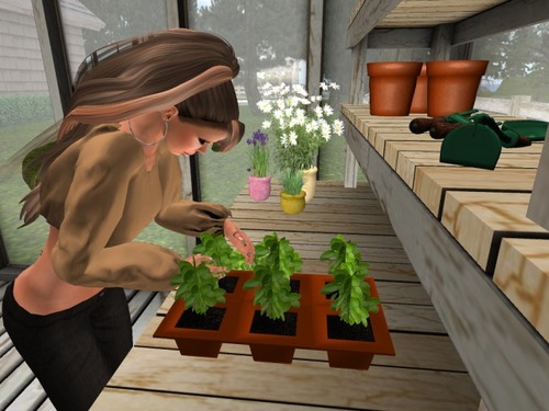 Web 55db8728a73e212f7d000001