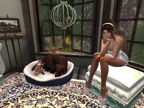 Web 5d7b9363289dd2352f000001