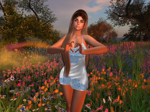 Web 5d7b985dd774f826e1000001