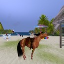 Thumb 525a08274b3ae74114000001