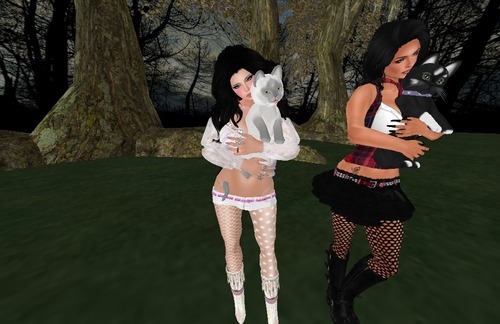 Web 525b742f30aa376f9d000001