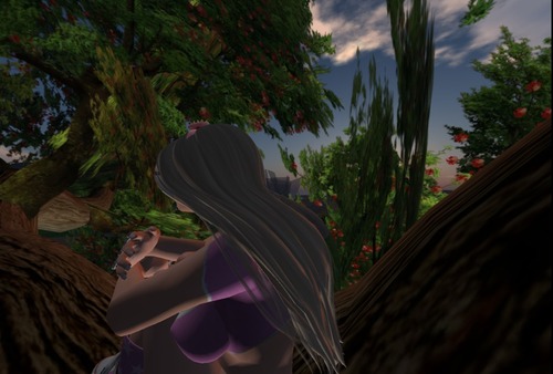 Web 533d89b18da5727049000001