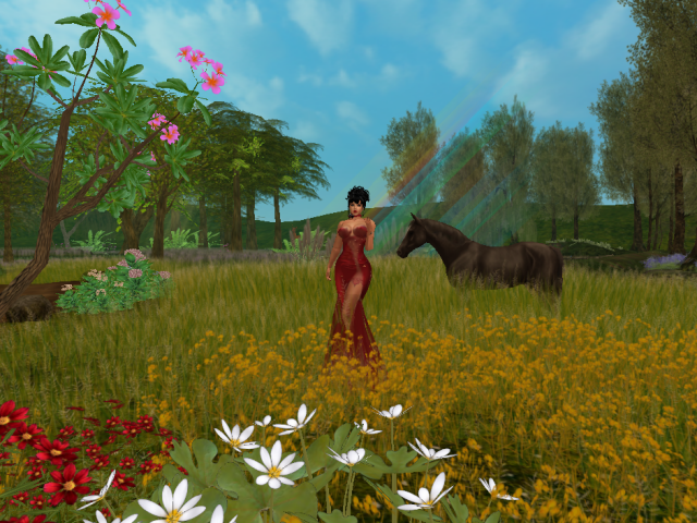 Original 5ad2f31cd774f84fdd000001