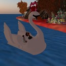 Thumb 567b5b0af8a1ec31a1000001