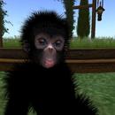 Thumb 5b5340ed73ed172007000001