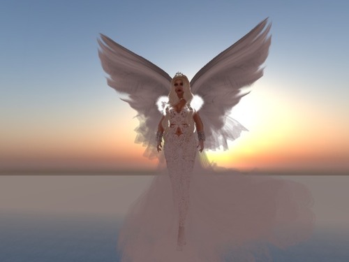 Web 56820c999934e05c32000001