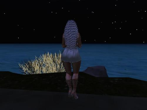 Web 5d867aefd9859c3cc9000001