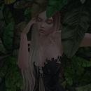 Thumb 5a200b59d9859c660a000001