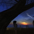 Thumb 524ca64ab06e487530000001