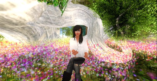 Web 514e81db96b92f5ff6000001