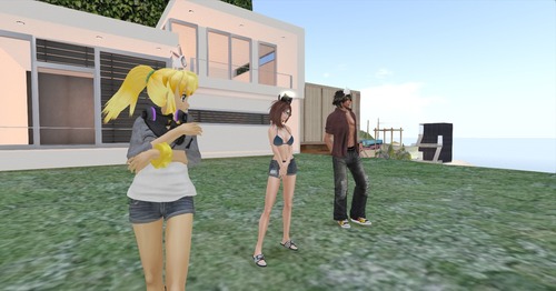 Web 51ddc65fca65c51856000001