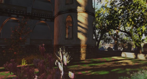 Web 516caffa02e76e14cc000001