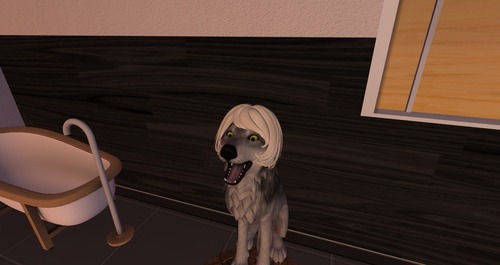 Web 570a383de85cda5a3d000001