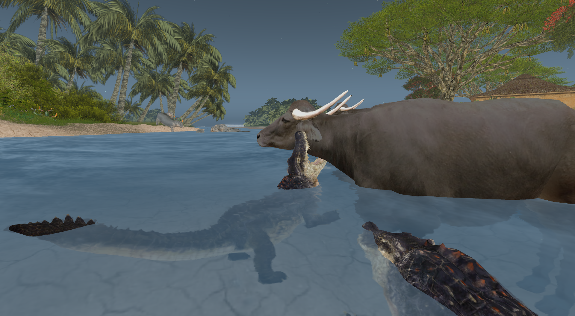 Original 60f6b5706932c3646266be3b