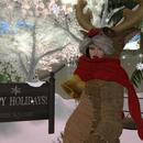 Thumb 5fea8a82af69d966bb104159