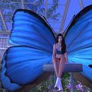 Thumb 60703b499fbe0a063f16fbee