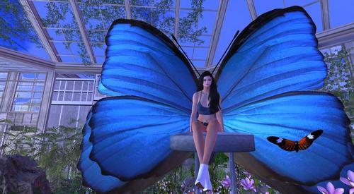 Web 60703b499fbe0a063f16fbee