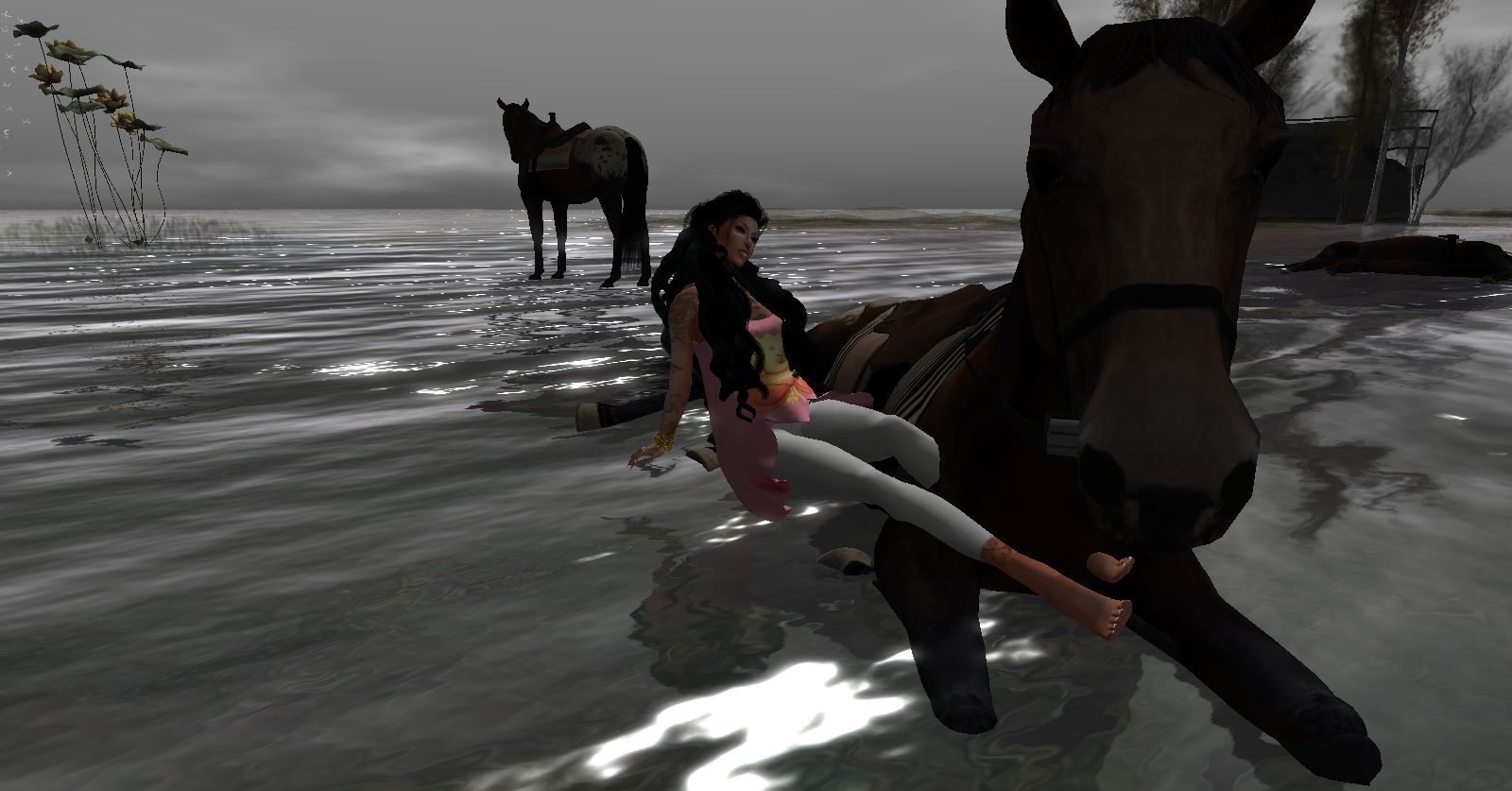 Original 56a373ef3f942f6030000001