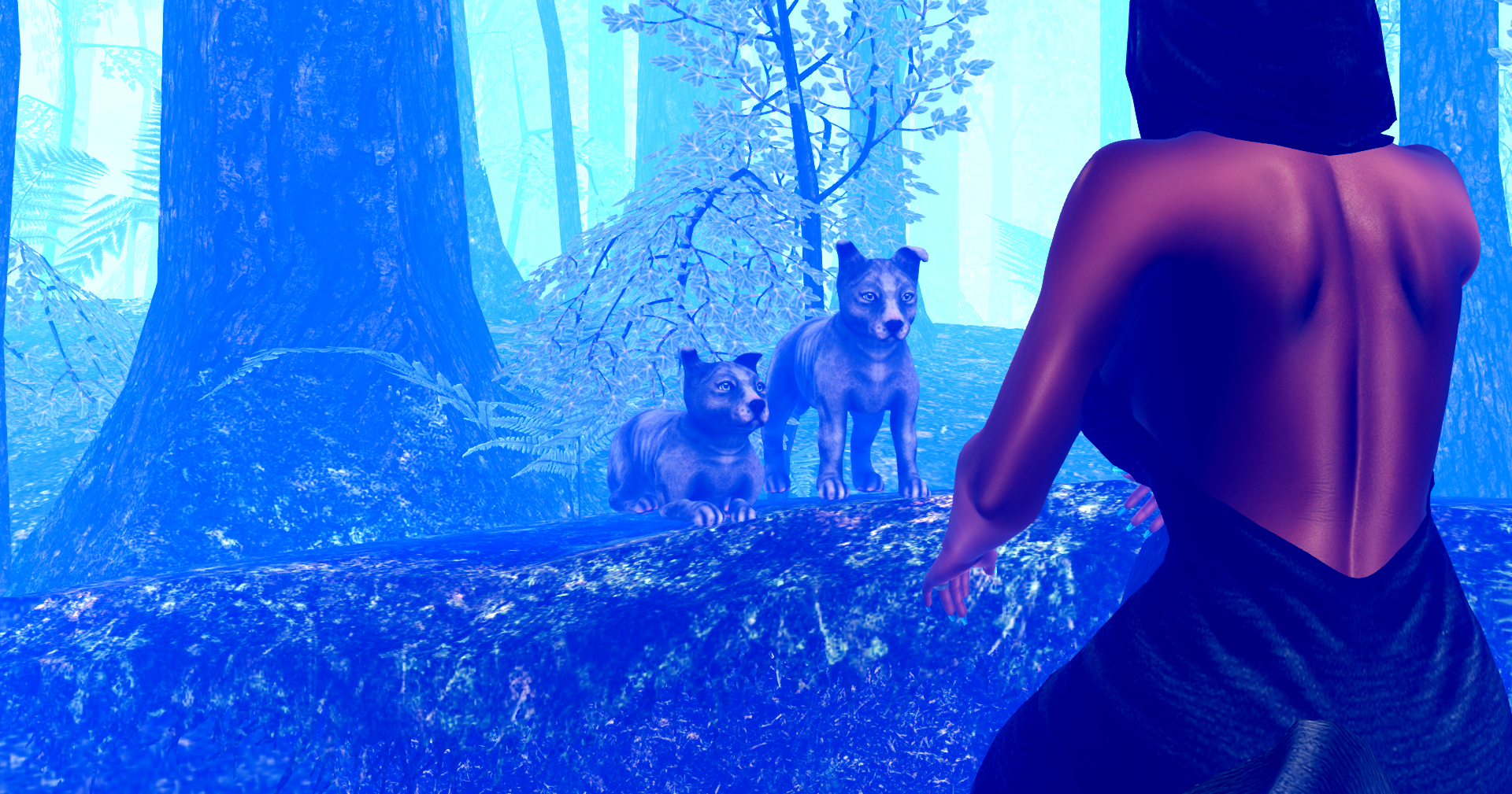 Original 67679f51a35fe713825040e5