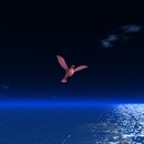 Thumb 56a474e7128cc93310000001