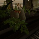 Thumb 56aaf965f8a1ec3d4a000001