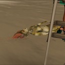 Thumb 56aafc143f942f6f16000001